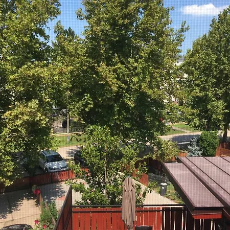Laza Vendeghaz Zamardi